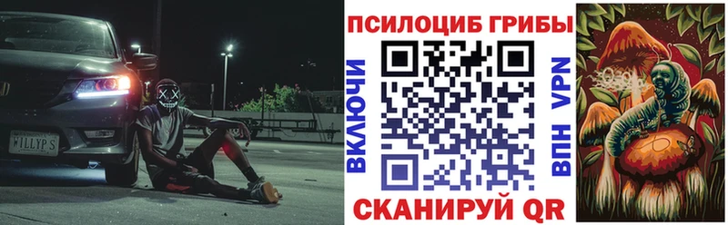 ссылка на мегу ссылки  купить закладку  Мензелинск  Галлюциногенные грибы Psilocybine cubensis 